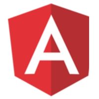 MS Angular
